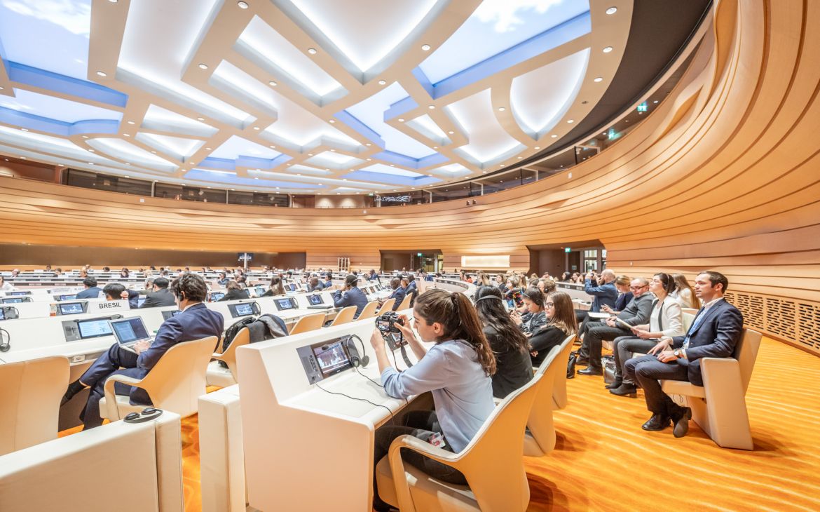 UN Immersion Programme UN Immersion Programme