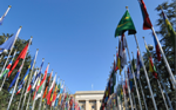 UNITAR Statute