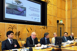 Forestwatchers presentation
