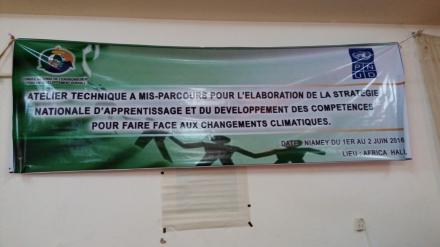 Workshop in Niamey, Niger.