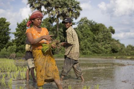 A photo from the blog "5 Climate Change e-Courses to Take Today".