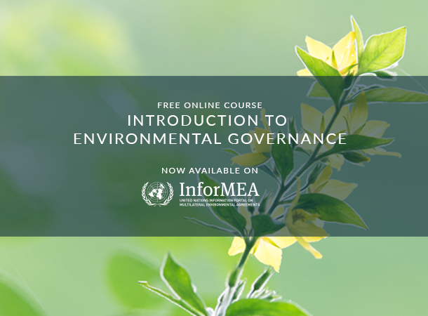 UNITAR and UN Environment Launch New Course on Environmental Governance