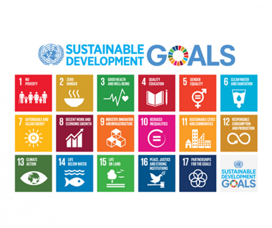 SDG logos