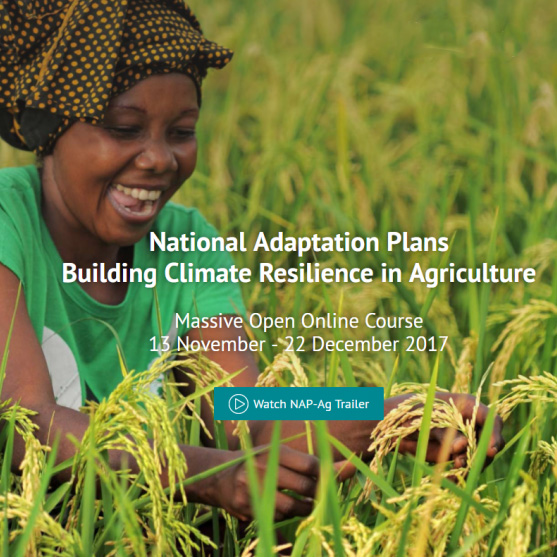 National Adaptation Plans: Building Climate Resilience in Agriculture