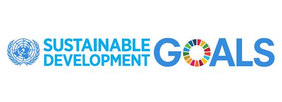 SDG logo