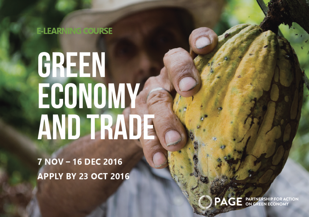 e-Course on Green Economy and Trade