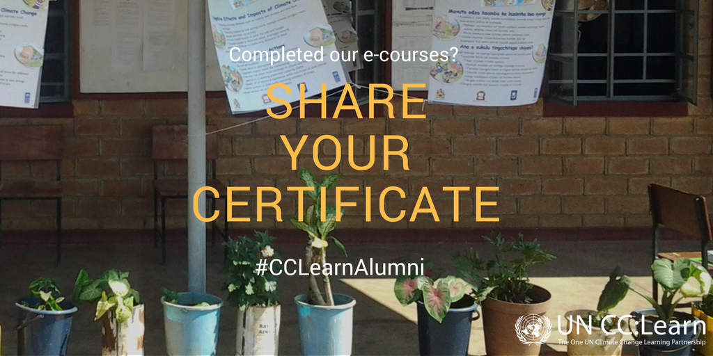 #CCLearnAlumni social media card