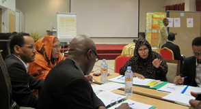 Mauritania workshop