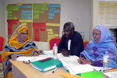 Mauritania workshop