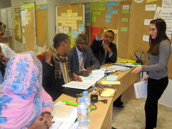 Mauritania workshop