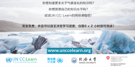 Chinese e-course flyer