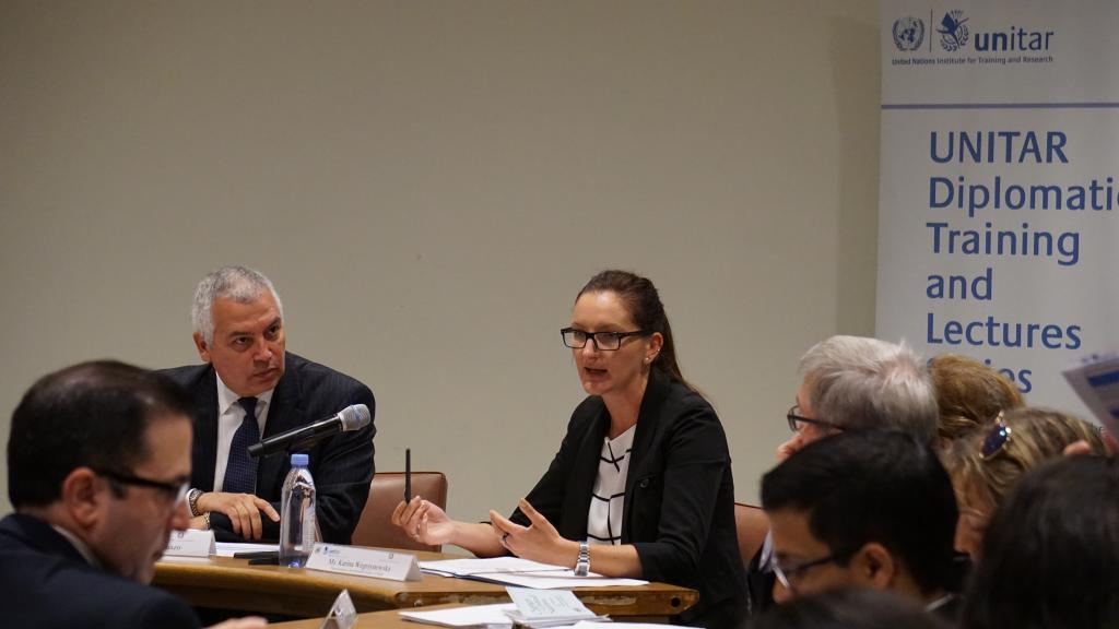 Ms. Karina Wegrzynowska briefs on the Third Committee