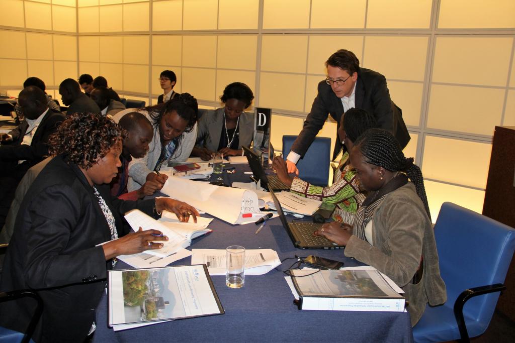UNITAR South Sudan Fellowship Programme Workshop II