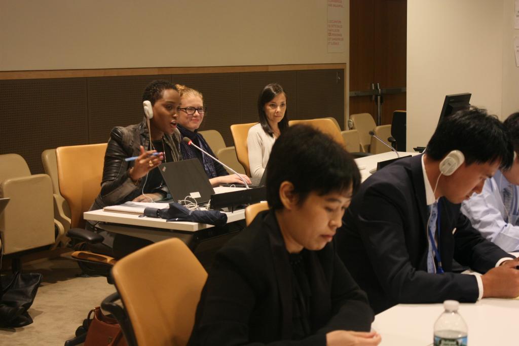 Course for New Delegates on the Fifth Committee Continues