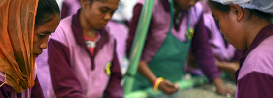 promote econimic development and social inclusion