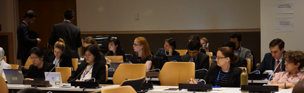 Participants at UNITAR and UN-DESA's QCPR Module 5 Briefing