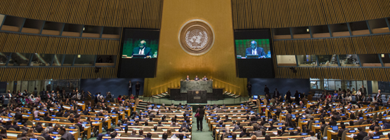 Strengthen Multilateralism