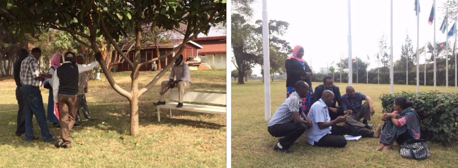 UNOSAT training