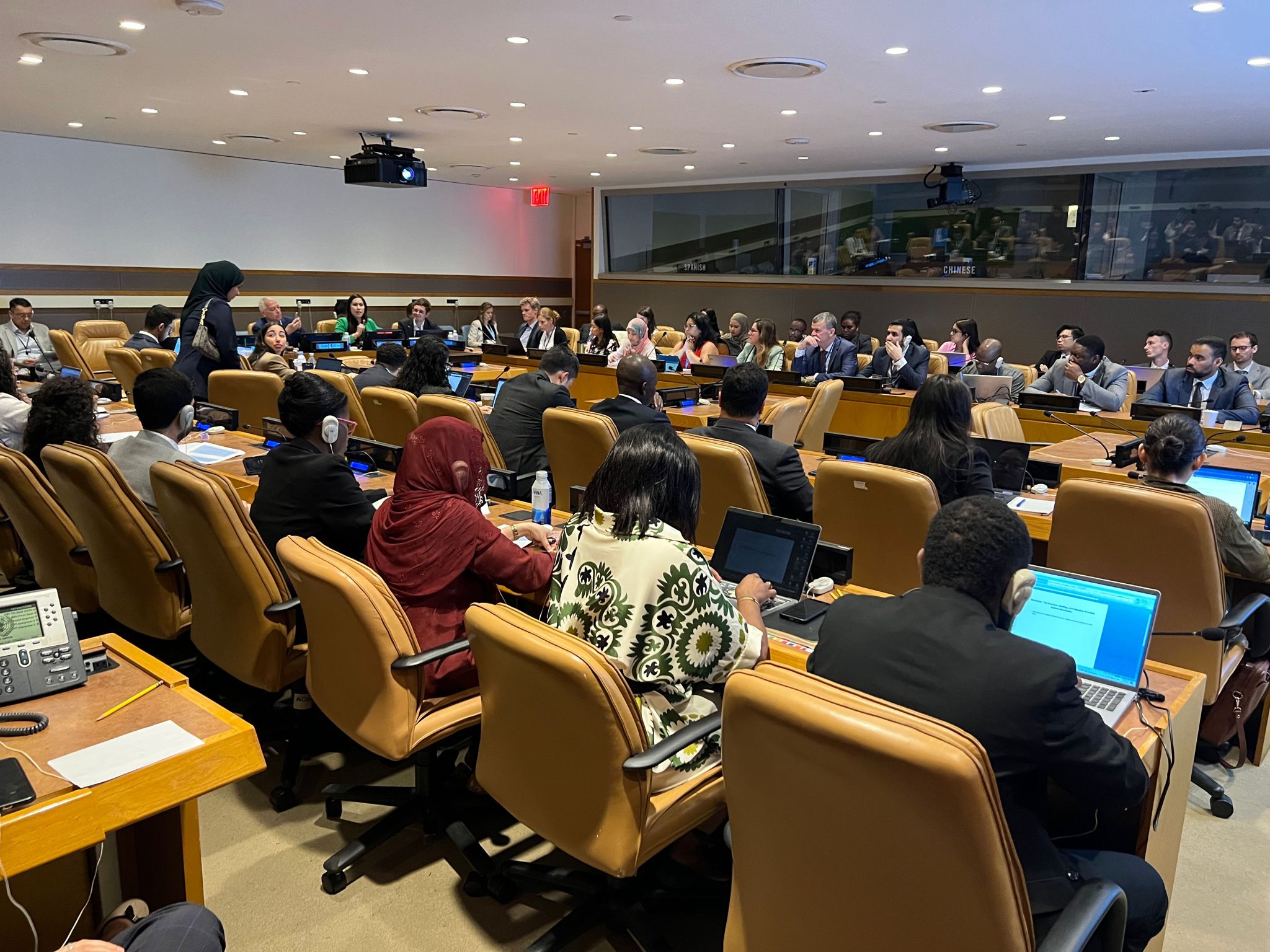 UNITAR Hosts Workshop on the Structure, Drafting, and Adoption of ...