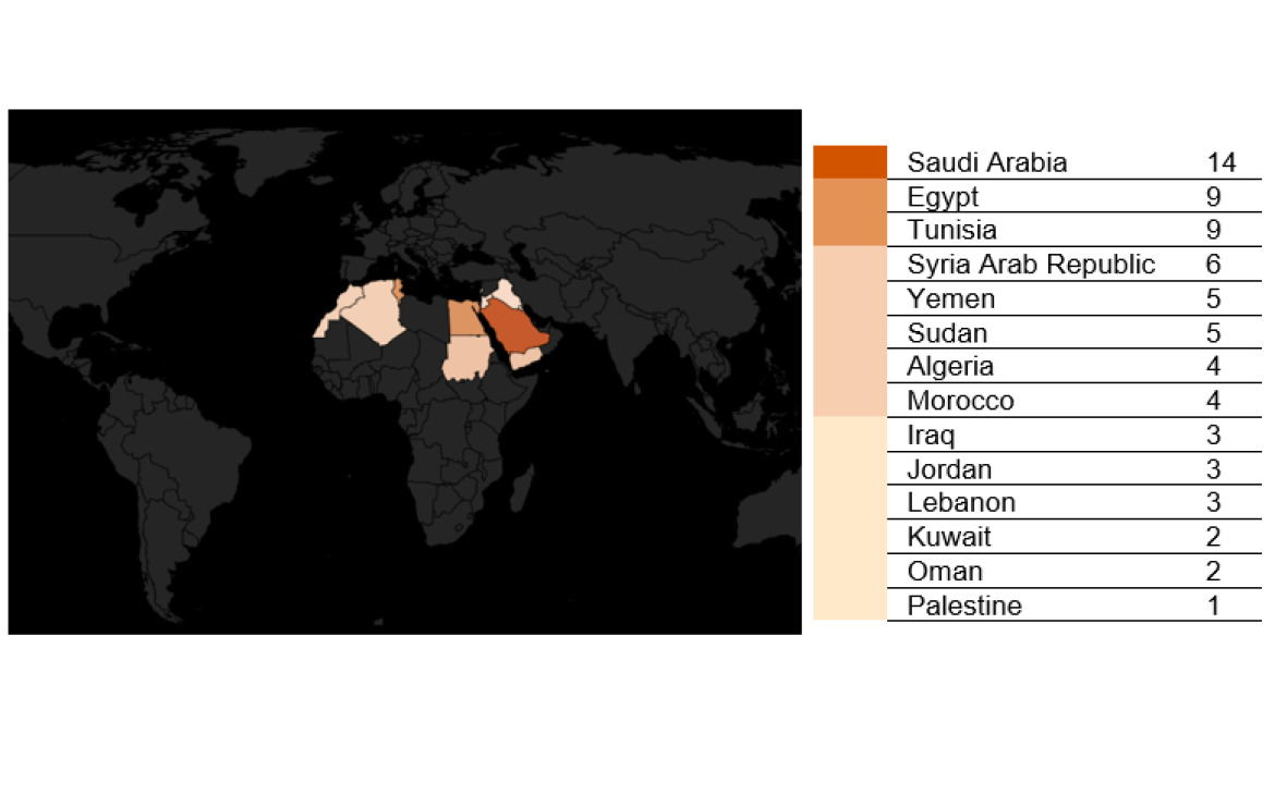 Participants countries of origin 