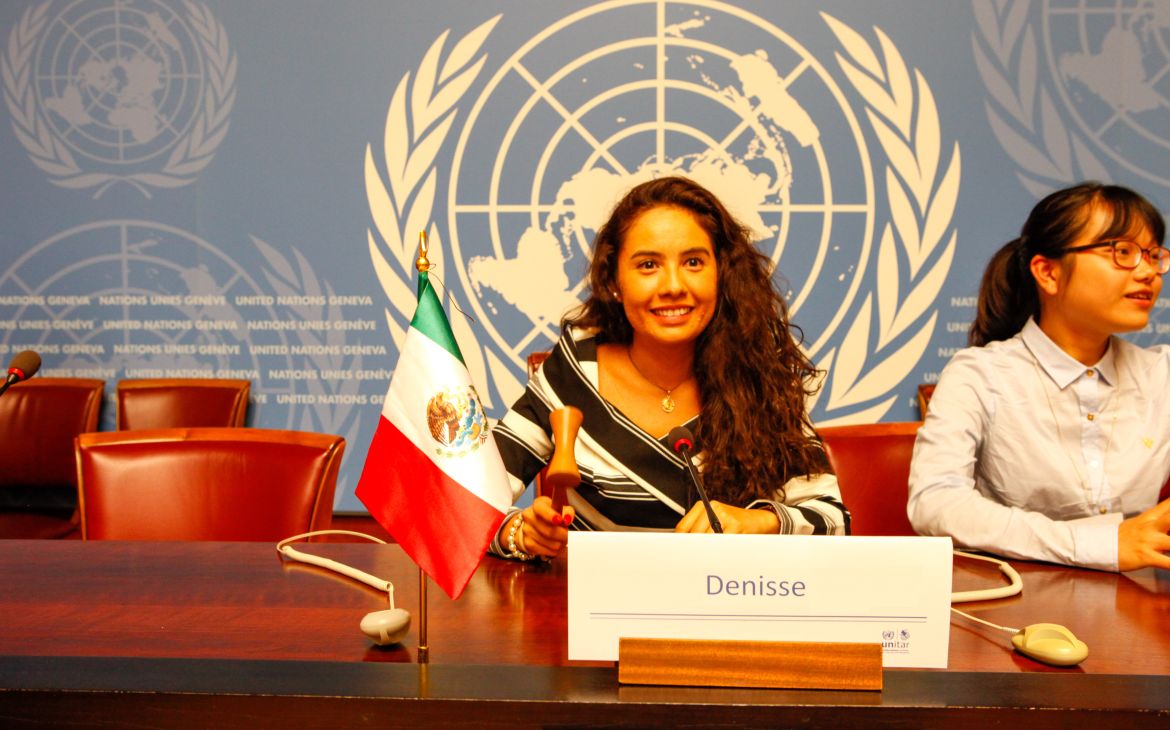 United Nations Immersion Programme UNITAR