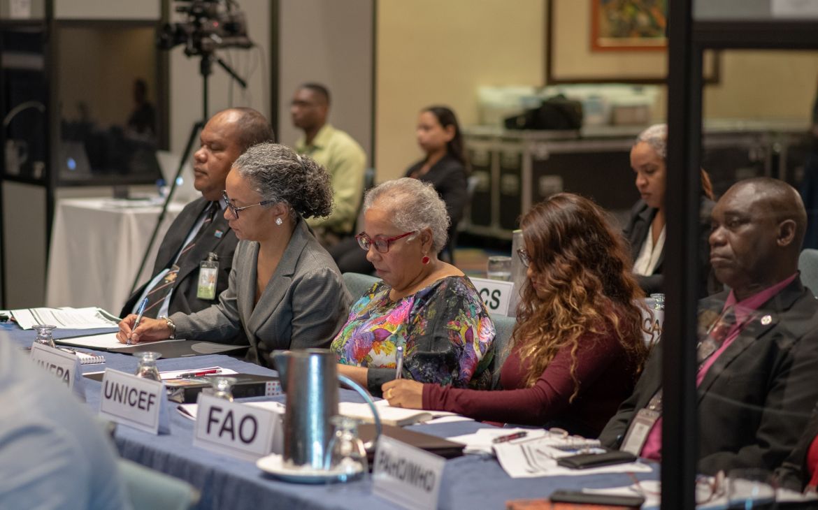 Participants at CARIBBEAN LEARNING CONFERENCE ON A HOLISTIC IMPLEMENTATION OF THE 2030 AGENDA