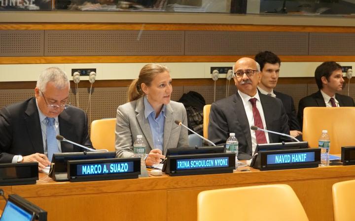 H.E. Ambassador DPR of Sweden addressed the meeting after the opening by the UNITAR-NYO Head of Office Mr. Marco Suazo, followed by a presentation by FSDO Director Mr. Navid Hanif