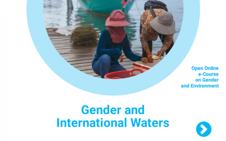 Cover of the Module on Gender and International Waters