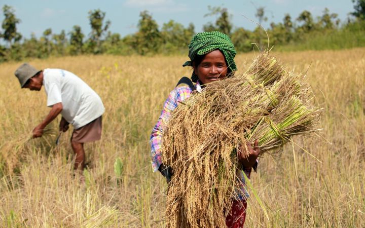Closing the Climate Finance Gap in Cambodia: Could Training be the Simple Answer? Closing the Climate Finance Gap in Cambodia: Could Training be the Simple Answer?