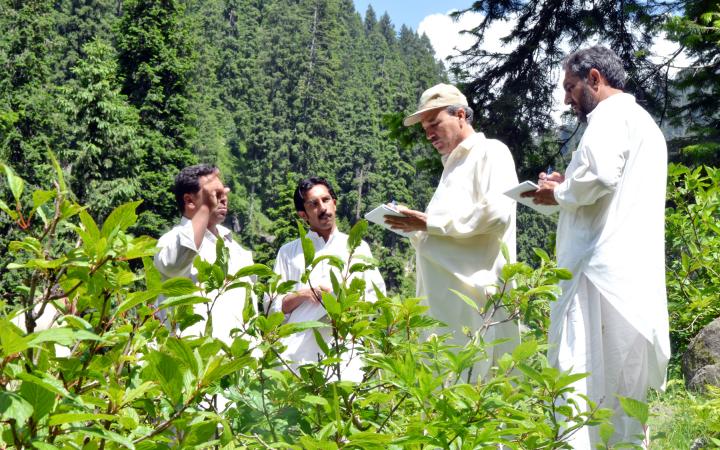 E-courses on climate change are impacting forest communities in northern Pakistan