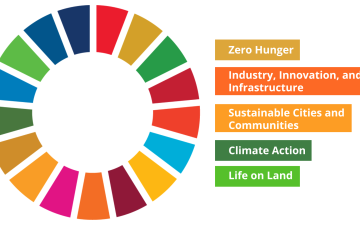 Project SDGs	 Project SDGs