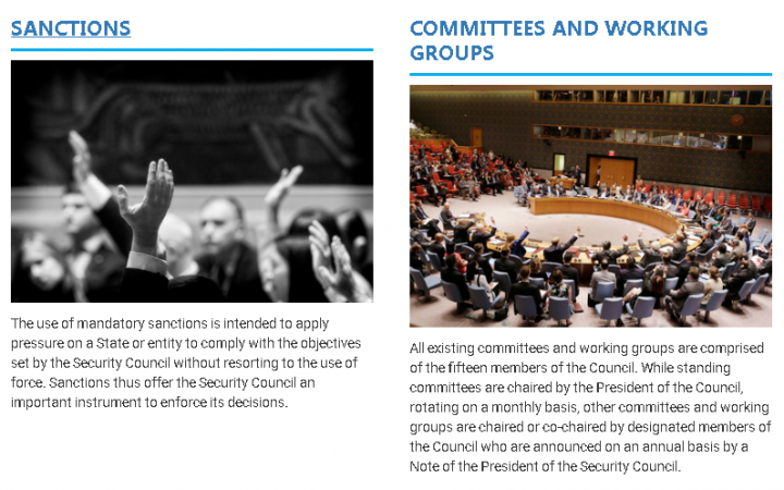 Photo from the UNSC website 