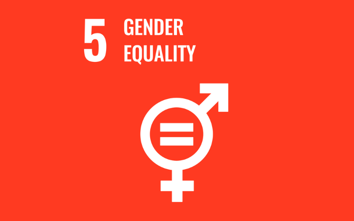 Gender and the Sustainable Development Goals Gender and the Sustainable Development Goals