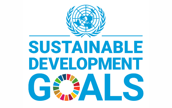 Meeting the Sustainable Development Goals Sustainable Development Goals Logoo