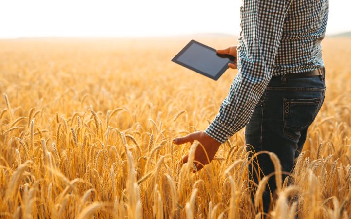 Agriculture via Envato Elements Agriculture via Envato Elements