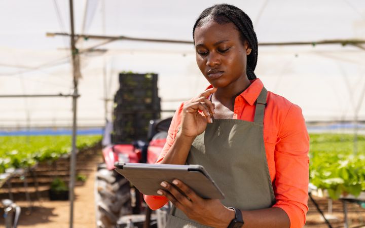 UNITAR and FAO 3rd Edition of Online Trade and Food Security Programme for NENA Region A farmer using a tablet