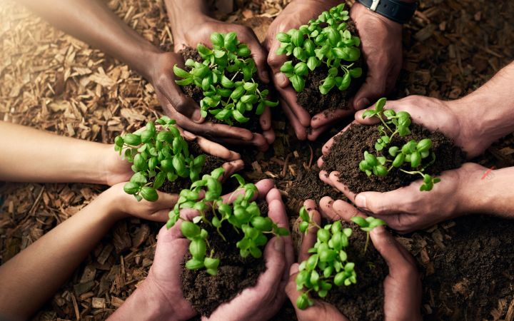 Sustainable Development: Idea, Process and Goal Sustainable Development: Idea, Process and Goal