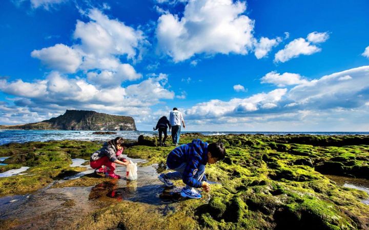 CIFAL Jeju