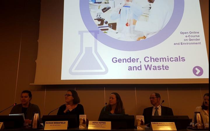 Gender, Chemicals and Waste Management online course presentation