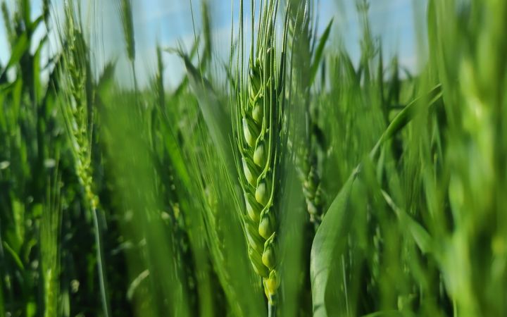 Training Programme on Agri-food Export Promotion Policy and Practical Tools for Officials from the post-Soviet states Training Programme on Agri-food Export Promotion Policy and Practical Tools for Officials from the post-Soviet states
