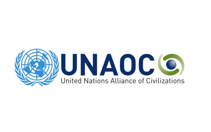 UNAOC logo