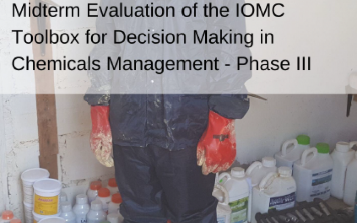Independent mid-term Evaluation of the Inter-Organization Programme for the Sound Management of Chemicals (IOMC) Toolbox for Decision Making in Chemicals Management – Phase III Project