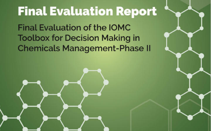 Final Evaluation of the IOMC Toolbox for Decision Making in Chemicals Management – Phase II