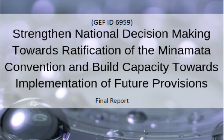 Independent Evaluation of the “Strengthen National Decision Making Towards Ratification of the Minamata Convention and Build Capacity Towards Implementation of Future Provisions” project