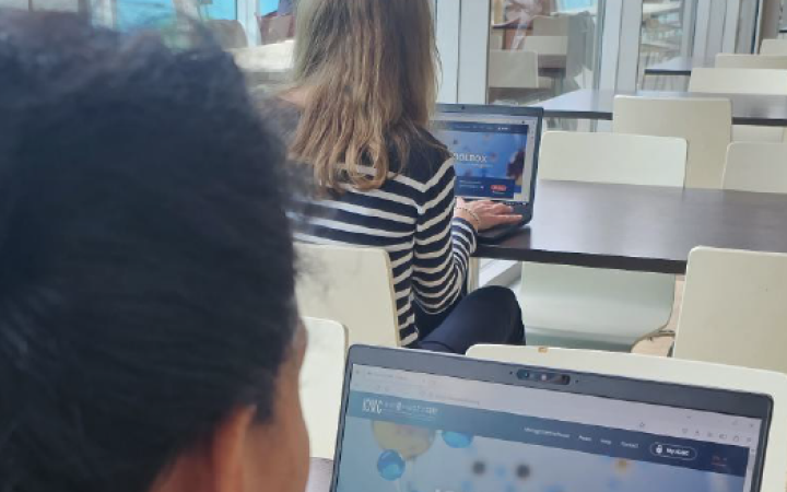 Final evaluation of the IOMC Toolbox for decision making in chemicals management – Phase III: From design to action project