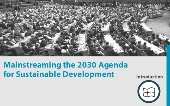Mainstreaming the 2030 Agenda for Sustainable Development