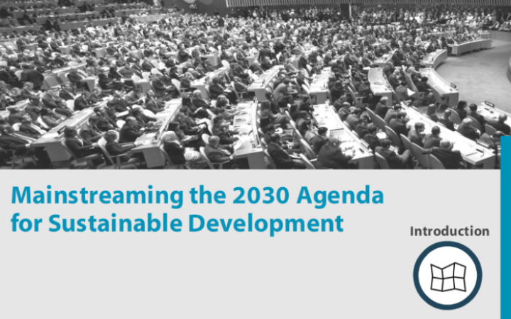 Mainstreaming the 2030 Agenda for Sustainable Development