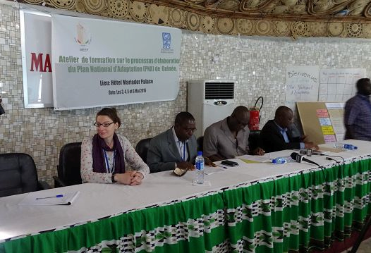 Official opening ceremony of the NAP training workshop in the Republic of Guinea