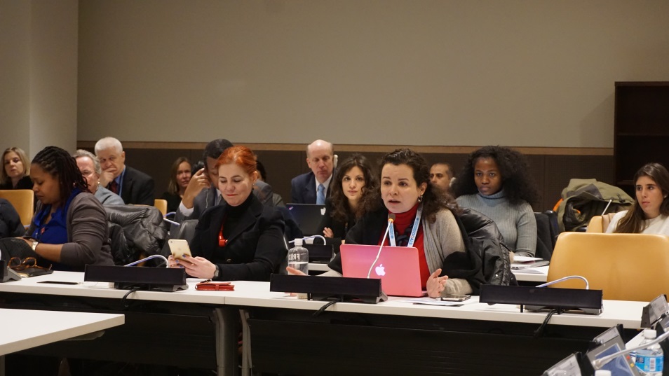 Participants listen to ECOSOC Panelists