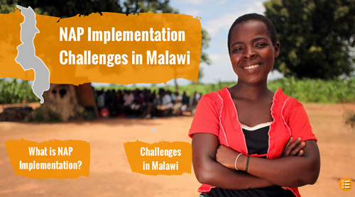 NAP implementation challenges in Malawi